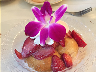 Akron Women's City Club, Strawberry Festival 2016