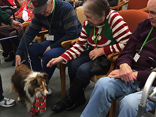 Christmas music and pet therapy for seniors